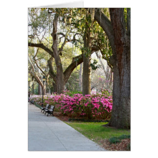 Cartão Savannah Georgia em Primavera Forsyth Park Azaleas