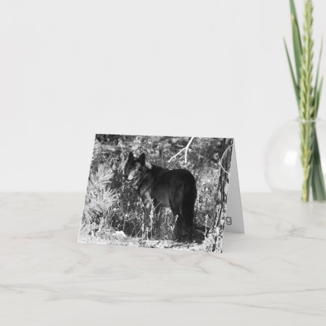 Cartão Sawtooth Pack Note Card (Frente)