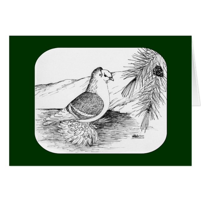 Cartão Saxon Shield Pigeon 1973 (Frente horizontal)