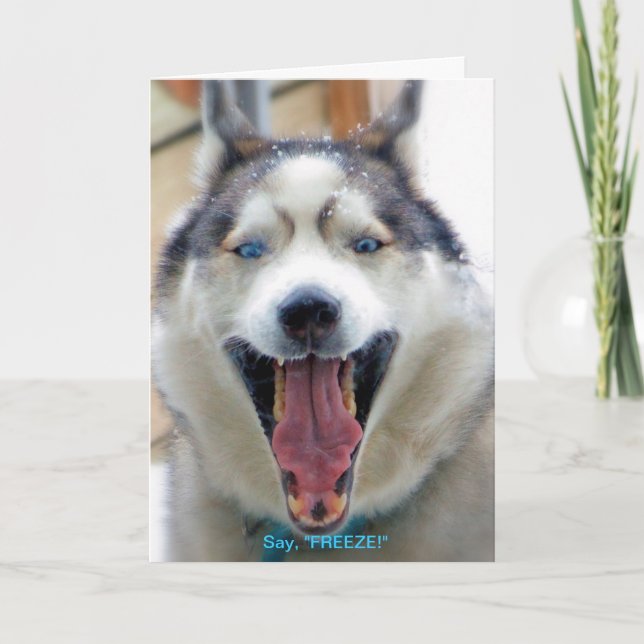 Cartão Say, "FREEZE" greeting card (Frente)