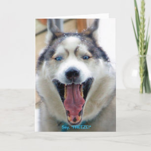 Cartão Say, "FREEZE" greeting card