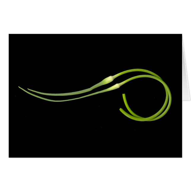 Cartão scape do alho (Frente Horizontal)