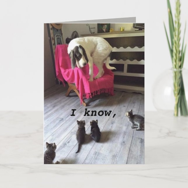 CARTÃO SCARDY DOG (Frente)