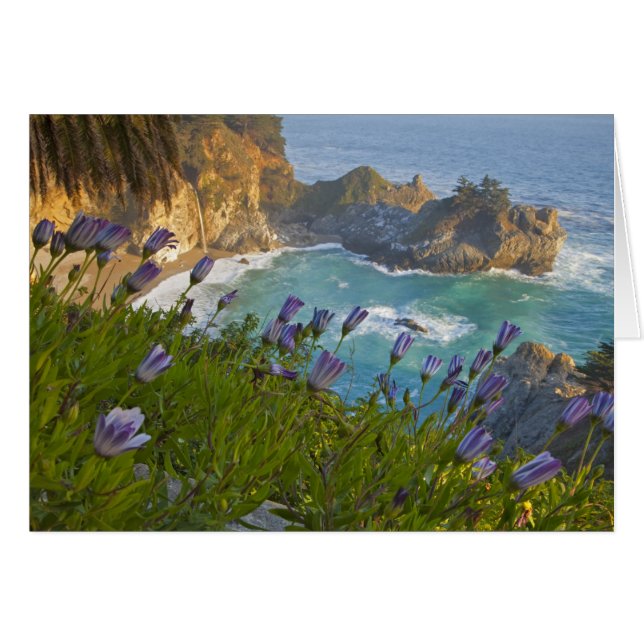 Cartão Scenic McWay Cai cai na praia e (Frente Horizontal)