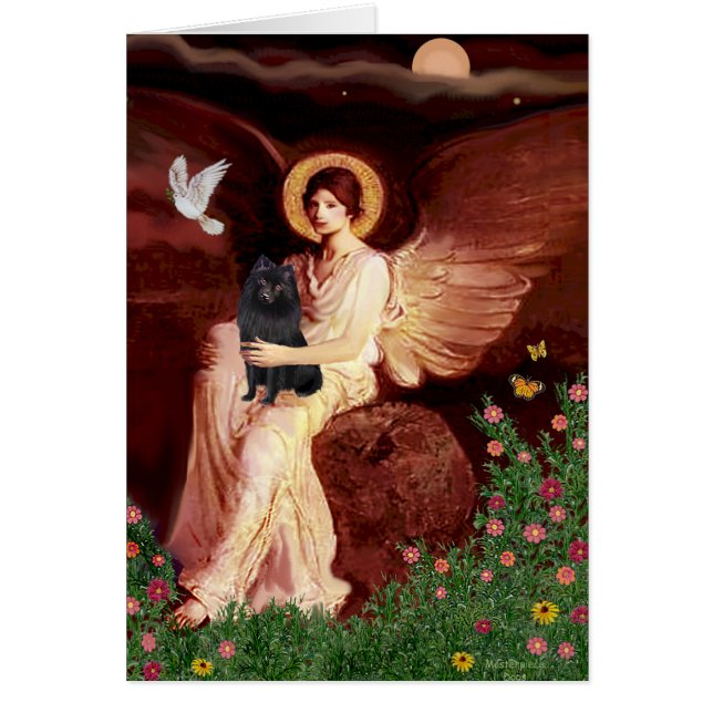 Cartão Schipperke 2 - Anjo sentado (Frente)