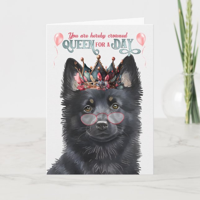 Cartão Schipperke Dog Queen Day Engraçado Aniversário (Frente)