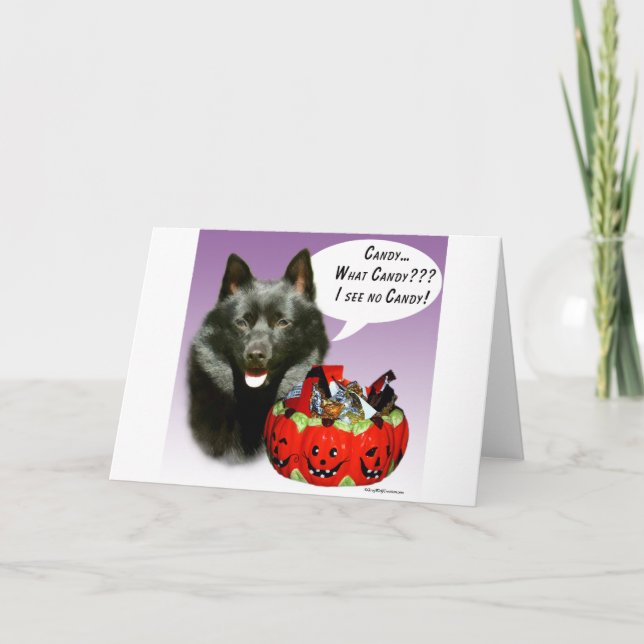 Cartão Schipperke Halloween Candy (Frente)