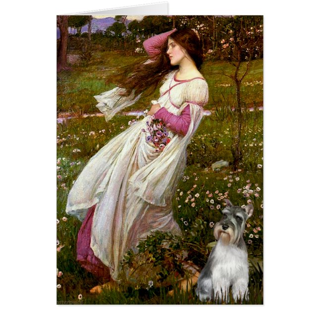 Cartão Schnauzer 11N - Flores (Frente)