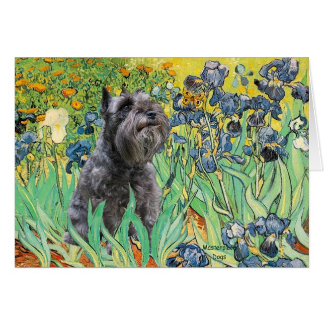 Cartão Schnauzer 12 - Íris (Frente Horizontal)