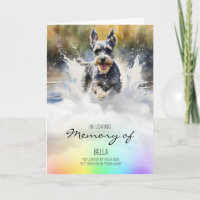 Schnauzer aquoledora cão de estimação perda de sim