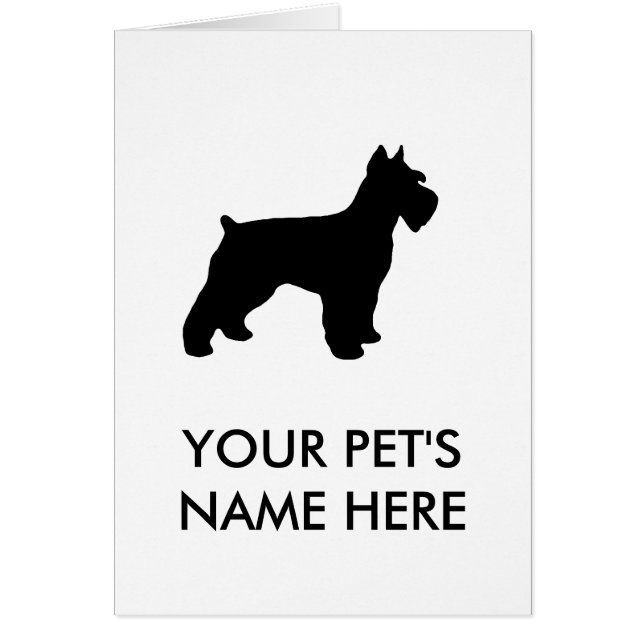 Cartão Schnauzer diminuto (Frente)