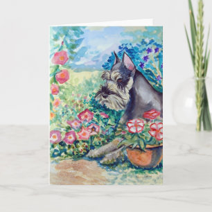 Cartão Schnauzer Greeting Cards
