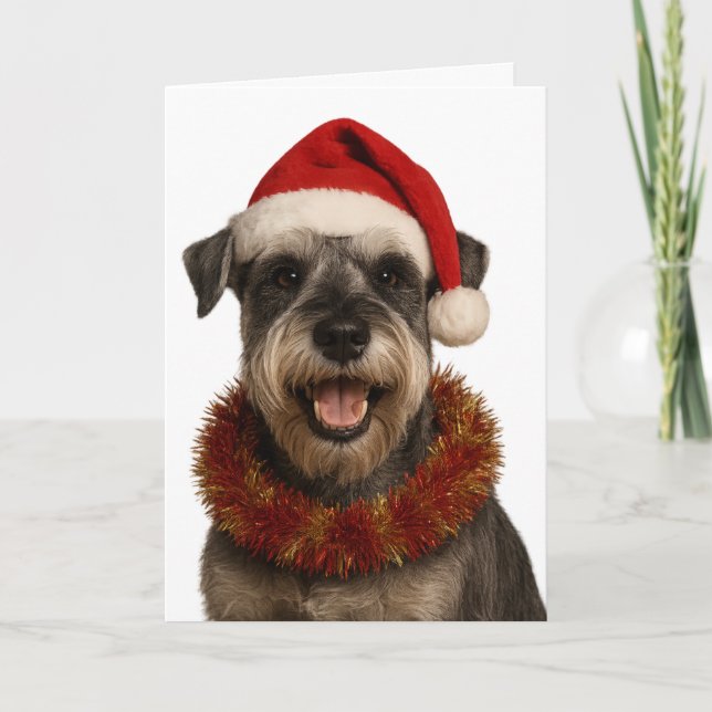 Cartão Schnauzer in a Santa hat Christmas card (Frente)