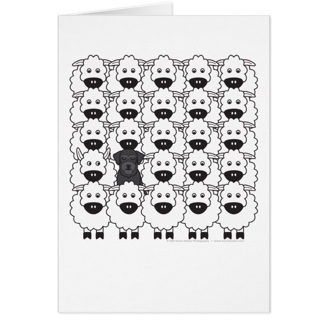 Cartão Schnauzer nos carneiros (Frente)