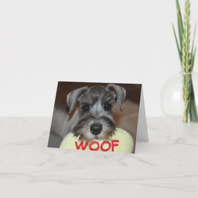 Cartão Schnauzer Notecards (Frente)
