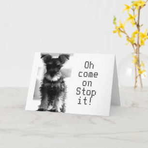 CARTÃO SCHNAUZER U AINDA OLHA "49" COMO PODE SER "50"