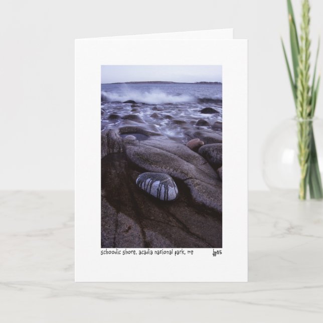 Cartão Schoodic shore photo card (Frente)