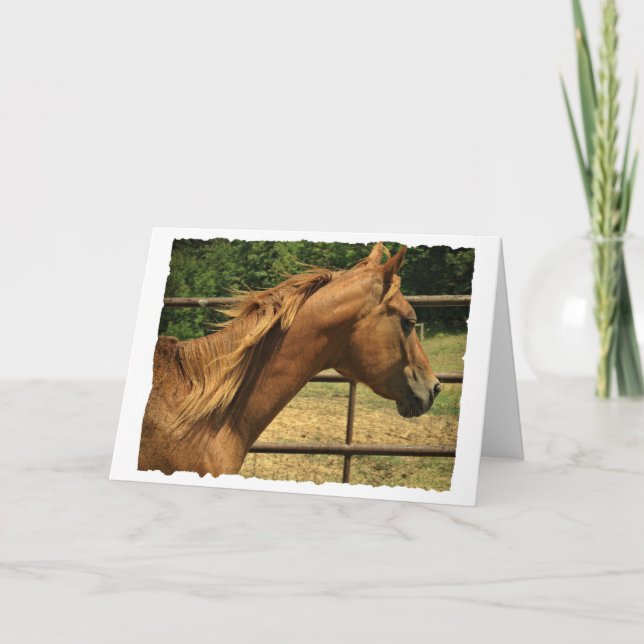 Cartão Scotch, aniversário (Frente)