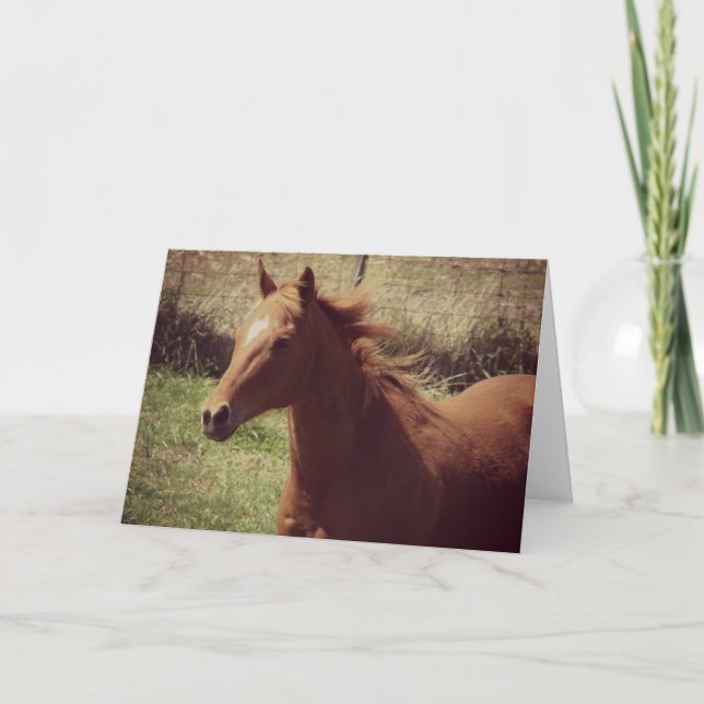 Cartão Scotch in Motion em várias ocasiões (Frente)