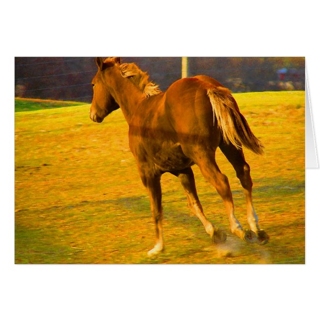 Cartão Scotch Run~ Oil Painting (Frente Horizontal)