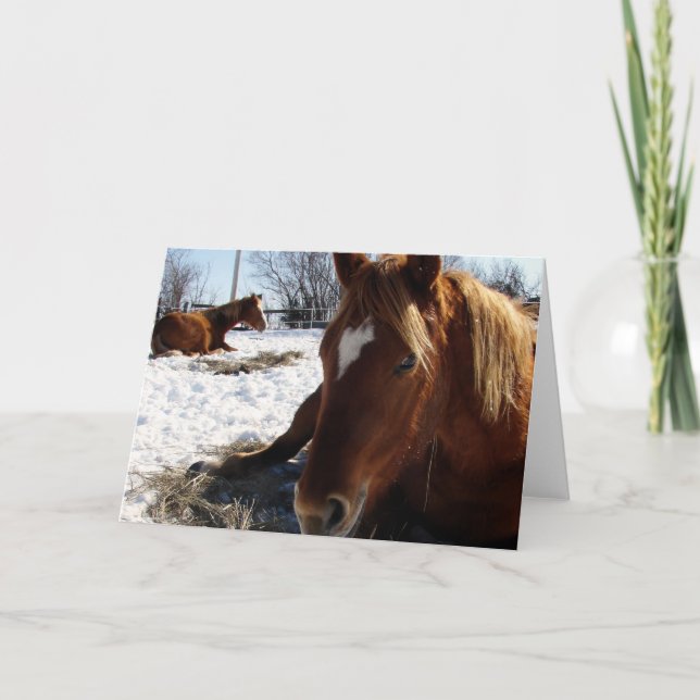 Cartão Scotch Sleeps (Frente)