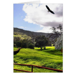 Cartão Scotland Yard