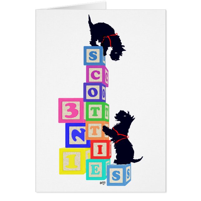 Cartão Scottie Blocks (Frente)