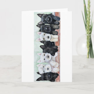 Cartão Scottie Puppies