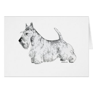 Cartão Scottish Terrier
