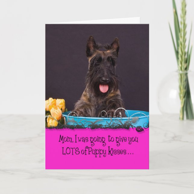 Cartão Scottish Terrier Licker License (Frente)