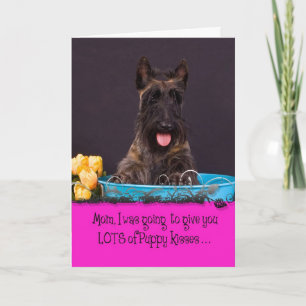 Cartão Scottish Terrier Licker License