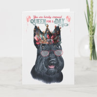 Scottish Terrier Queen para um dia de aniversário 