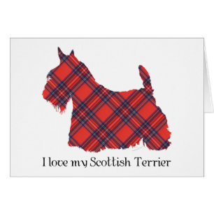 Cartão Scottish Terrier Stewart Tartan