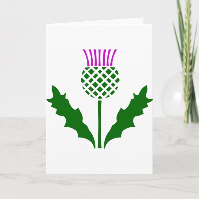 Cartão Scottish Thistle (Frente)