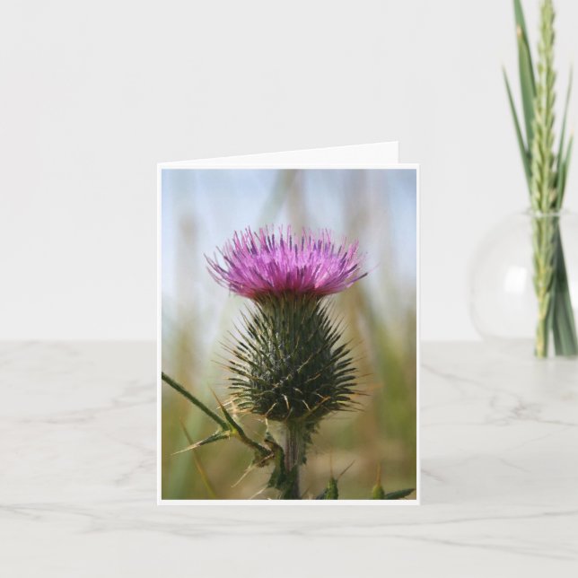 Cartão Scottish Thistle Notecard (Frente)
