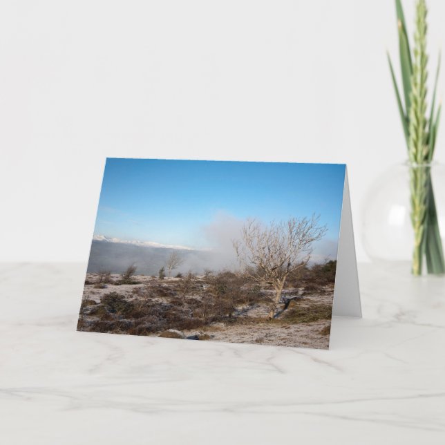 Cartão Scout Scar Cumbria England Holiday Card (Frente)