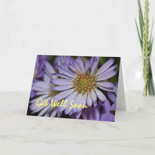 Cartão Scripture Card --Purple Daisies Get Well Soon Card (Frente)