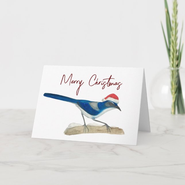 Cartão Scrub Jay Christmas (Frente)