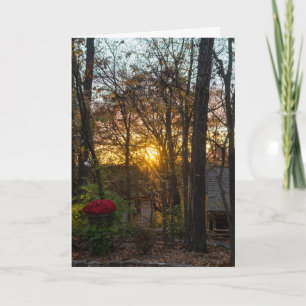 Cartão Sdc Woods Sunset
