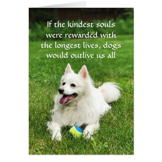 Cartão Se as almas mais bonitas - placa de arte de 5" x 7 (Frente)