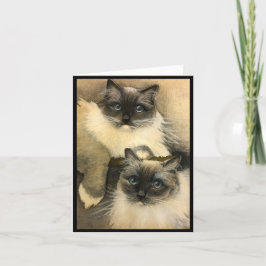 Cartão Se Os Gatos Pudessem Falar