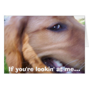 Cartão Se você é lookin em mim…