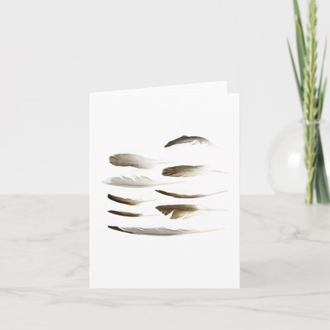 Cartão Sea Bird Feather Note Card (Frente)