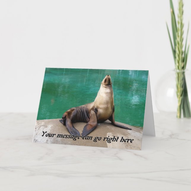 Cartão Sea Lion Greeting Card (Frente)