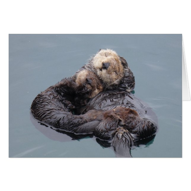 Cartão Sea Otter Mom and Pup (Frente Horizontal)