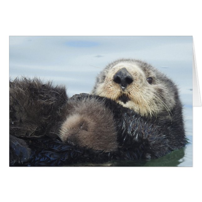 Cartão Sea Otter Mom and Pup (Frente Horizontal)