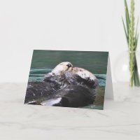 Sea Otters in Love