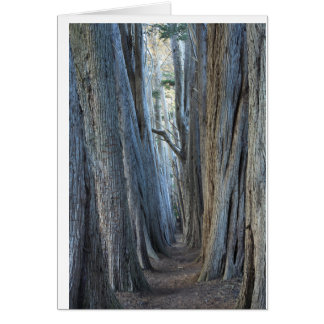 Cartão Sea Ranch, AC