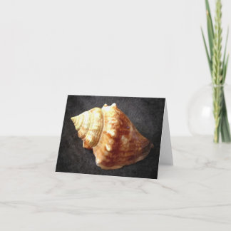 Cartão Sea Shell Blank Card