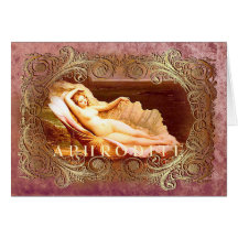 Sea Shell - Ocean Beach Shells